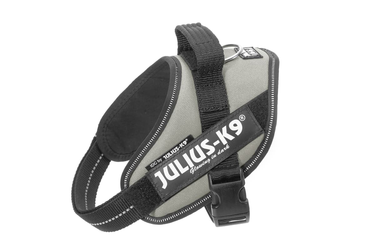 Julius-K9, 16IDC-AM-M, IDC Powerharness, dog harness, Size: Mini, Aquamarine — view 298