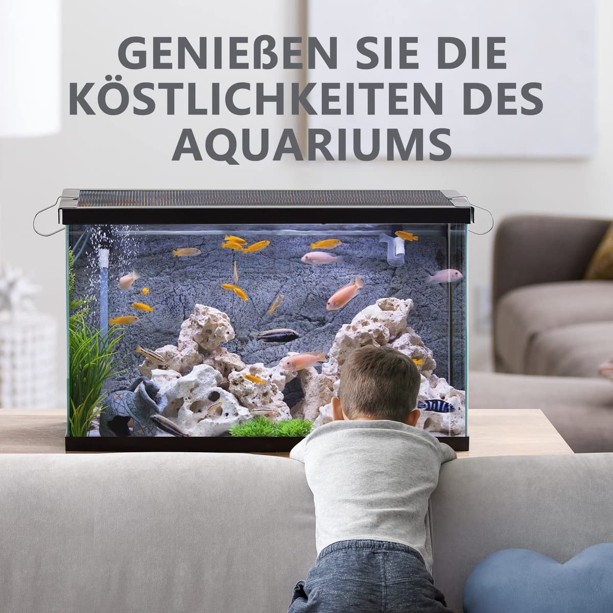 RUNBO Tiras de prueba 7 en 1 para acuario, 150 unidades, kit de prueba de acuario para estanque de peces de agua dulce, prueba precisa de la dureza total alcalinidad total carbonato nitrato nitrito — view 6