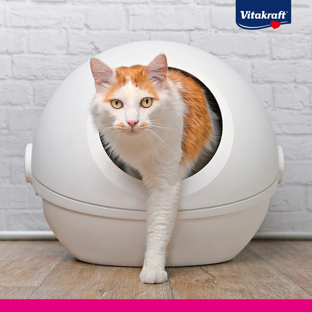 Vitakraft Magic Clean Classic, Arena no aglomerante para Gatos, Fabricada con microesferas minerales, inhibe Las bacterias, Especialmente Baja en Polvo, Tiene una duración de 8 semanas (1x 8,4l) — view 7