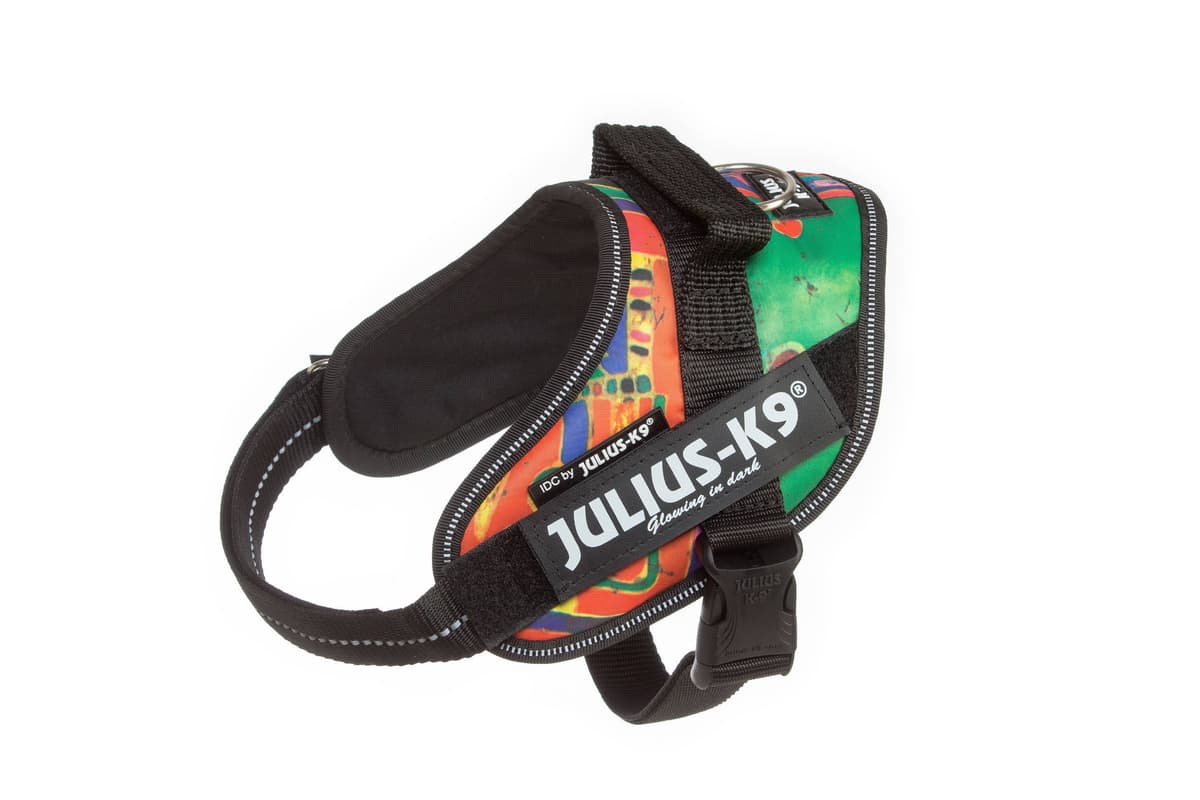 Julius-K9, 16IDC-AM-M, IDC Powerharness, dog harness, Size: Mini, Aquamarine — view 58
