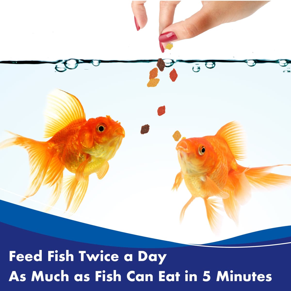AQUARIAN Complete Nutrition Goldfish Food Flakes, 25g — view 4