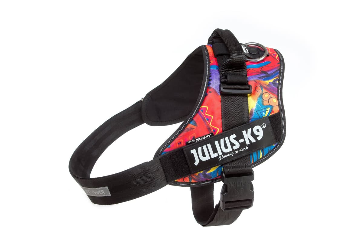 Julius-K9, 16IDC-AM-M, IDC Powerharness, dog harness, Size: Mini, Aquamarine — view 14