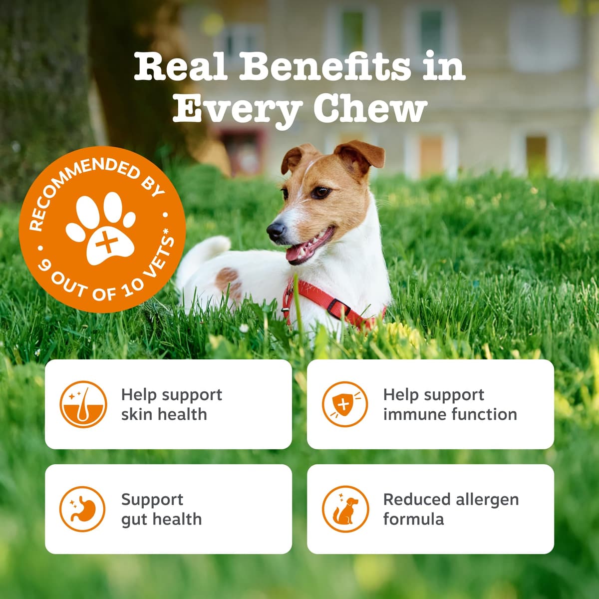 Zesty Paws Aller-Immune Chews for Dogs | Supports Immune Function, Helps Gut, Skin & Coat Health, For Itchy, Dry Skin | Contains Salmon Oil, Prebiotics, Probiotics, Vitamin A | Daily Use | 90 Chews — view 3