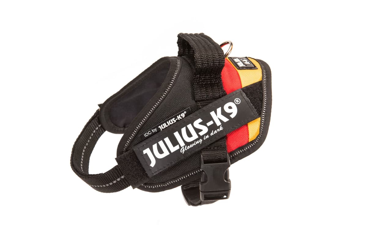 Julius-K9, 16IDC-AM-M, IDC Powerharness, dog harness, Size: Mini, Aquamarine — view 163