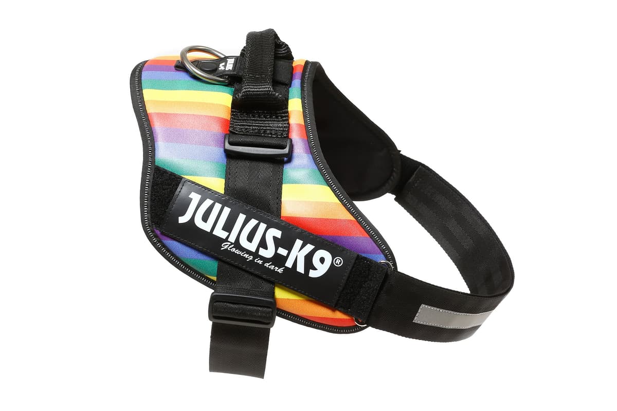 Julius-K9, 16IDC-AM-M, IDC Powerharness, dog harness, Size: Mini, Aquamarine — view 271
