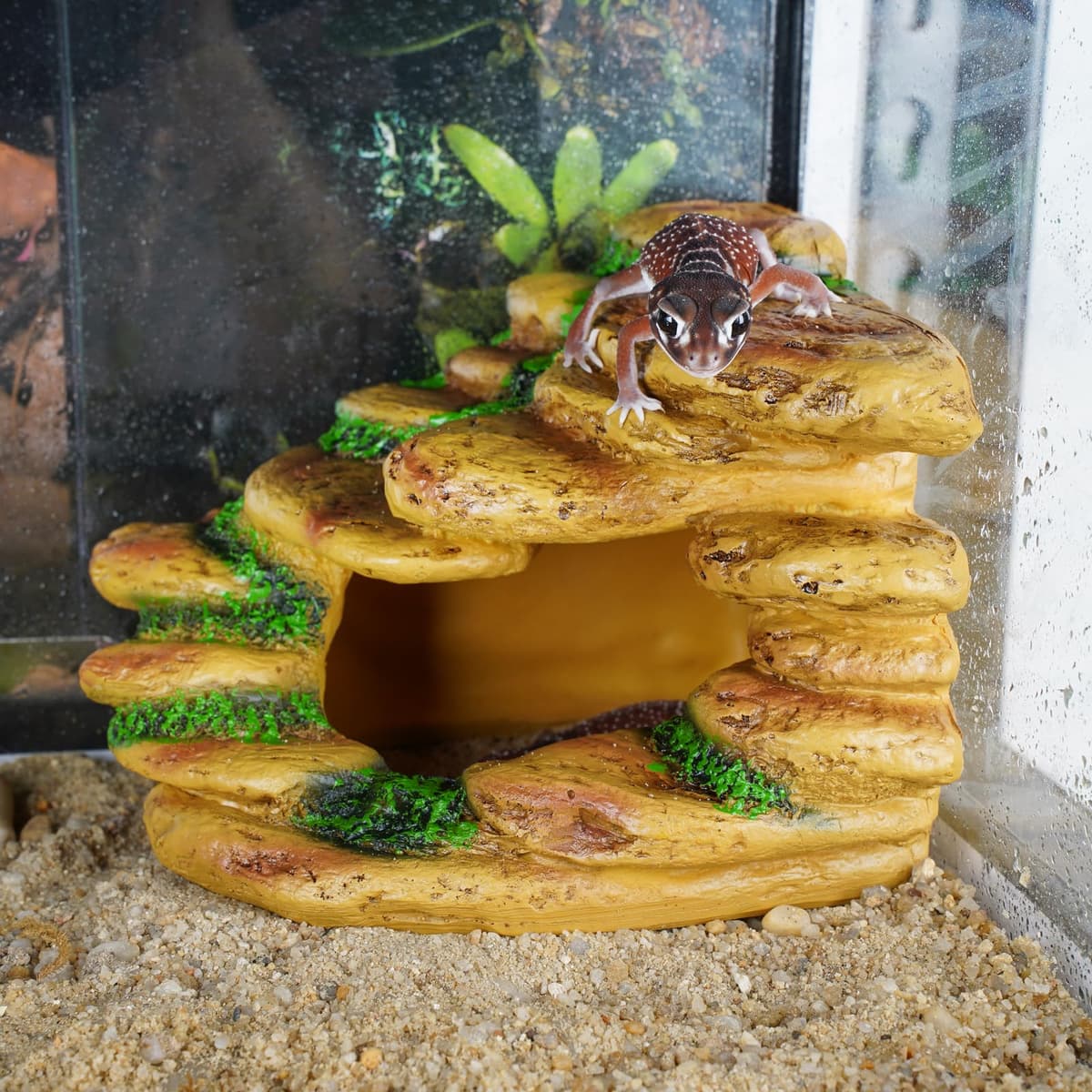 Reptile Cave Hideout Habitat, Great for Bearded Dragons, Leopard Geckos, Lizards, Turtles, Snakes, Frogs, Scorpions, Spiders and Other Reptiles, Amphibians (B - Medium) — view 2
