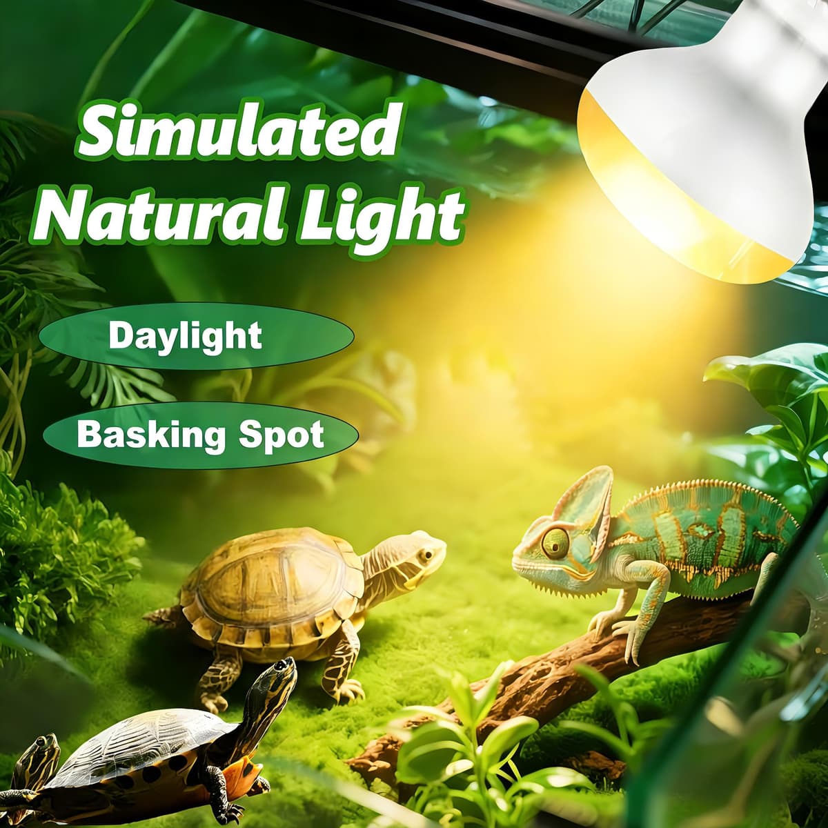 Reptile Heat Lamp Bulb 100W-2Pack, Daylight Basking Spot Lamp Bulb, E27 Vivarium Tortoise Light for Reptile, Bearded Dragon, Lizard, Snake — view 2