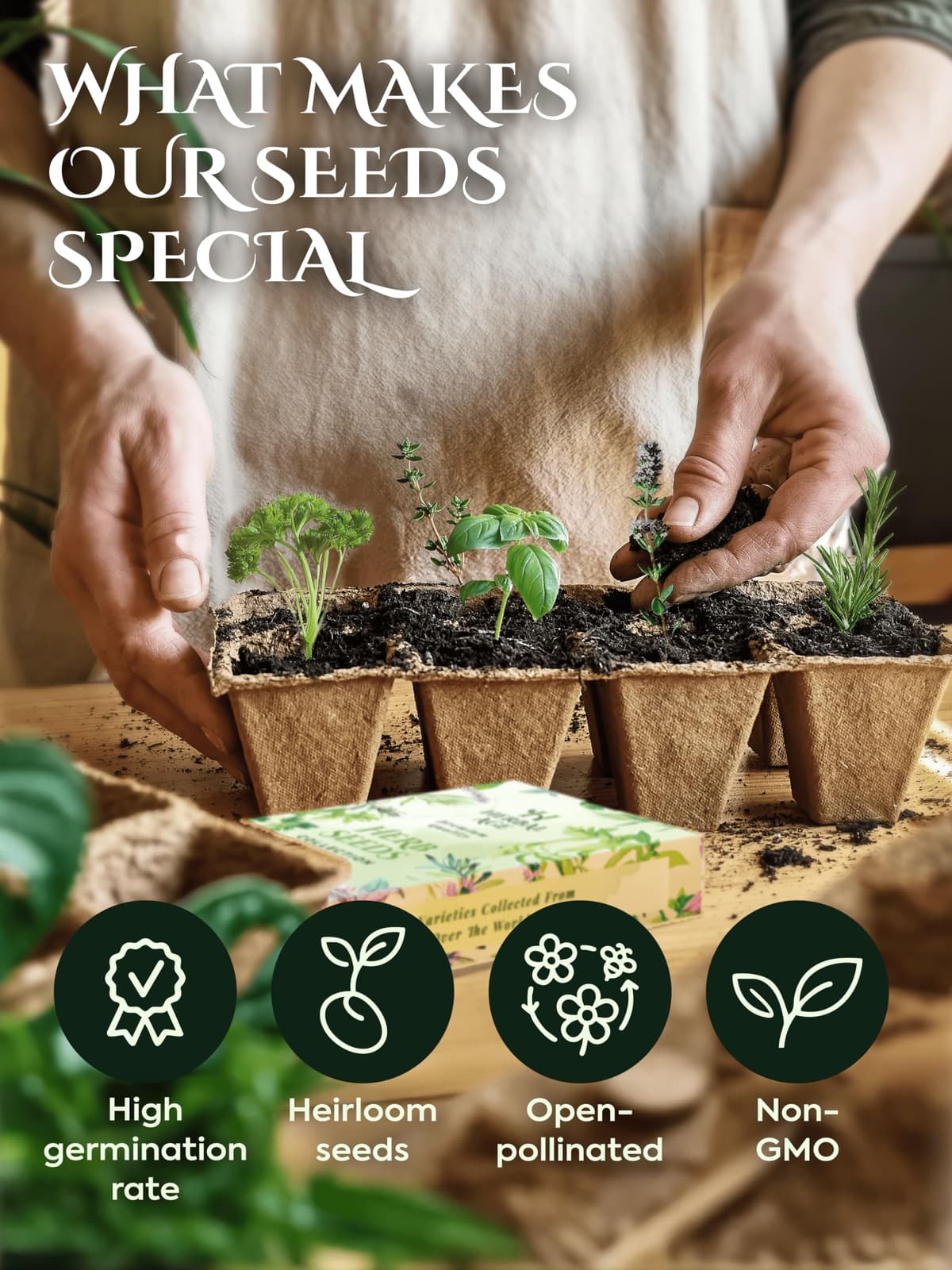 Grow Your Own Kits - 12 Vegetable Plants Seed Box: Courgette, Chilli, Tomato Seeds, 5100 Vegetable Seeds for Planting UK - Unusual Gardening Gifts for Women & Garden Gifts for Men, Allotment Gifts — view 5