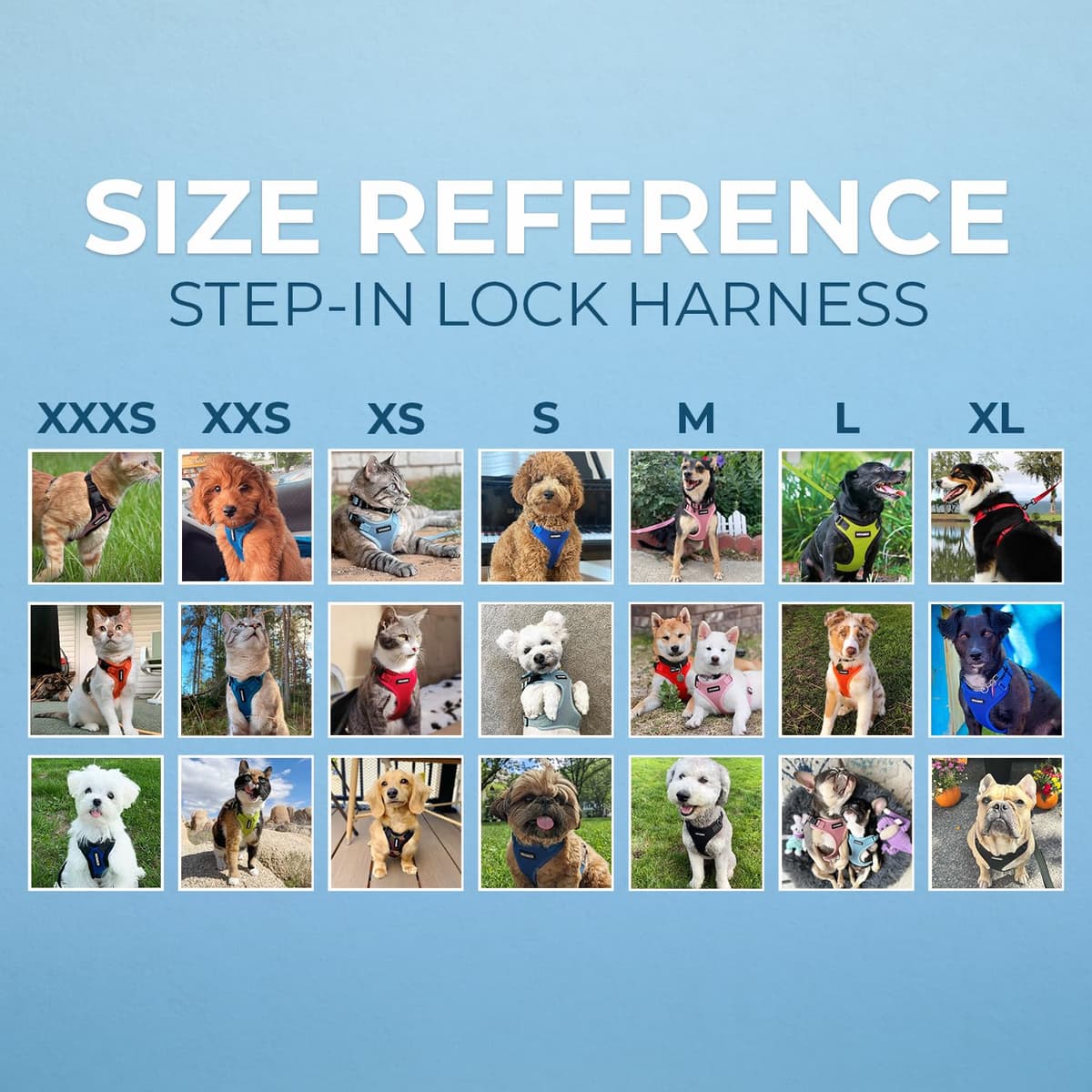 Best Pet Supplies Voyager Step-in Lock Pet Harness – All Weather Mesh, Adjustable Step in Harness for Cats and Dogs Turquoise (Matching Trim), XL (Chest: 22-36") — view 8