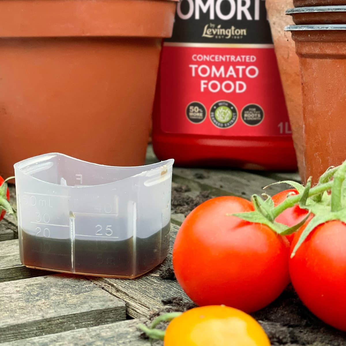 Levington Tomorite Liquid Tomato Food, Concentrate, 1L, Red — view 4