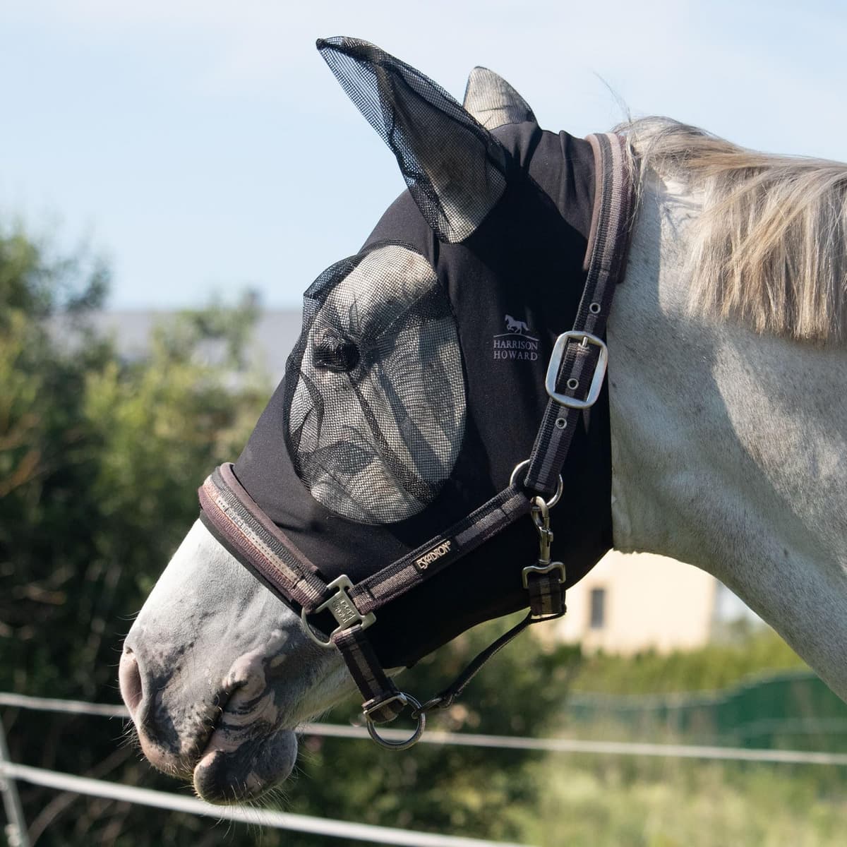 Harrison Howard Máscara elástica para Moscas de Caballo, excelente Comodidad con protección UV, máscara estándar para Caballos, Azul Marino M — view 24