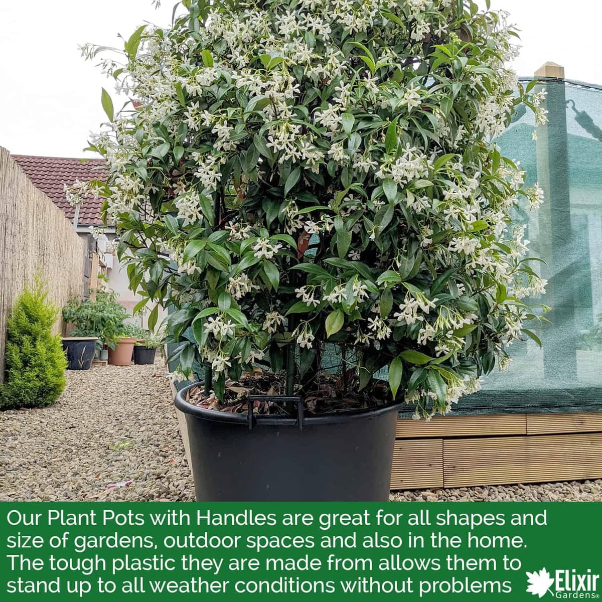 Elixir Gardens Large Plastic Recycled Plastic Plant Pot With Handles | 30, 35, 50, 75, 90, 110 & 130 L Sizes with Optional Saucers | Tree, Shrub & Garden Container/Feed Bucket | 50 Litre + Saucers x 2 — view 5