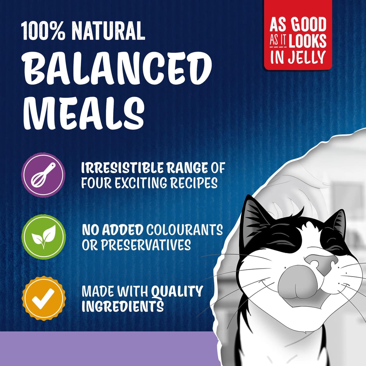 FELIX As Good As it Looks Favourites Selection in Jelly Wet Cat Food 120x85g — view 2