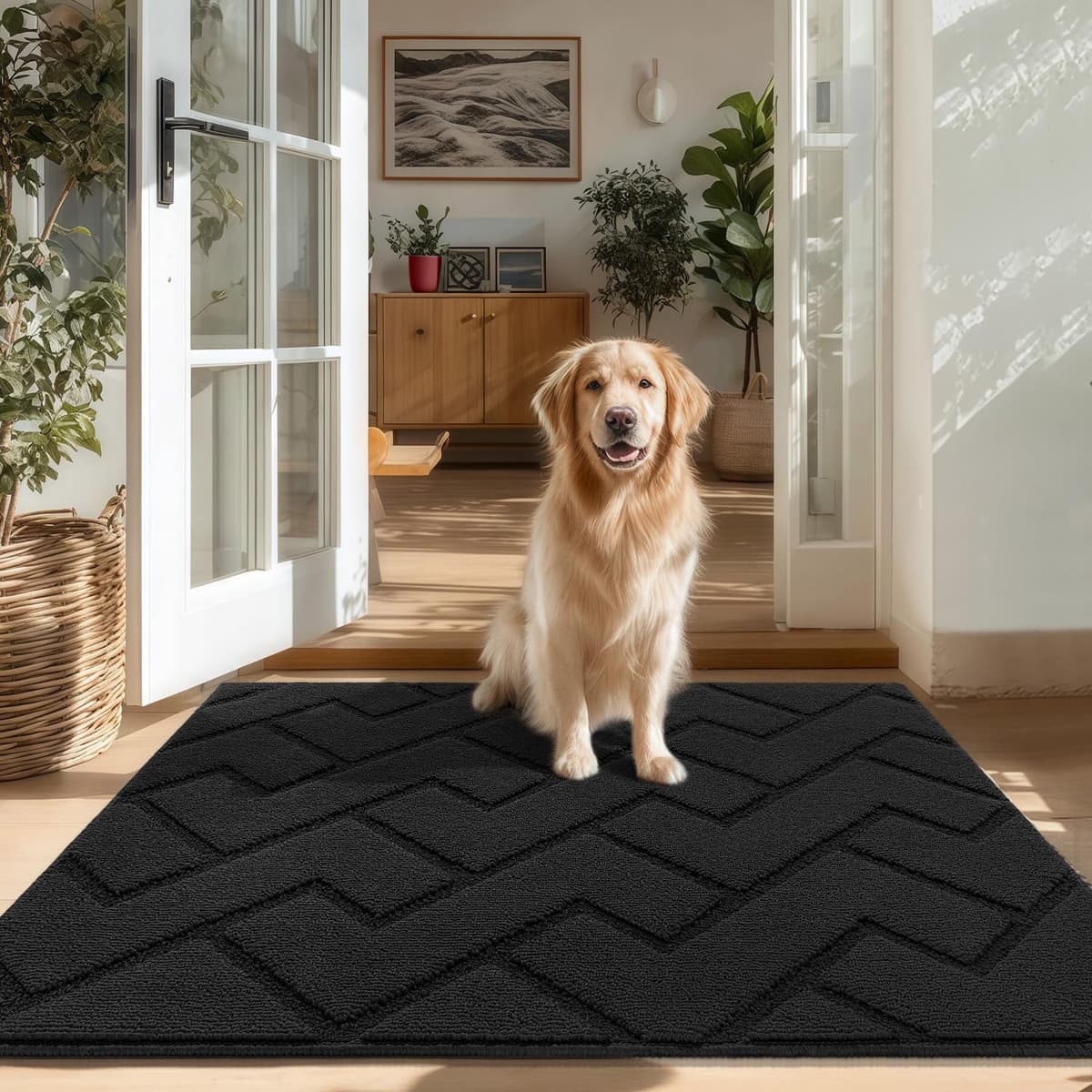 Biscpro Door Mats Indoor,Dirt Trapper Mat Absorbent Non-Slip Low Profile Doormat for Entrance,Inside, Kitchen,Front Door Mat Washable for Pets and Dogs— 50x80cm,Grey — view 93