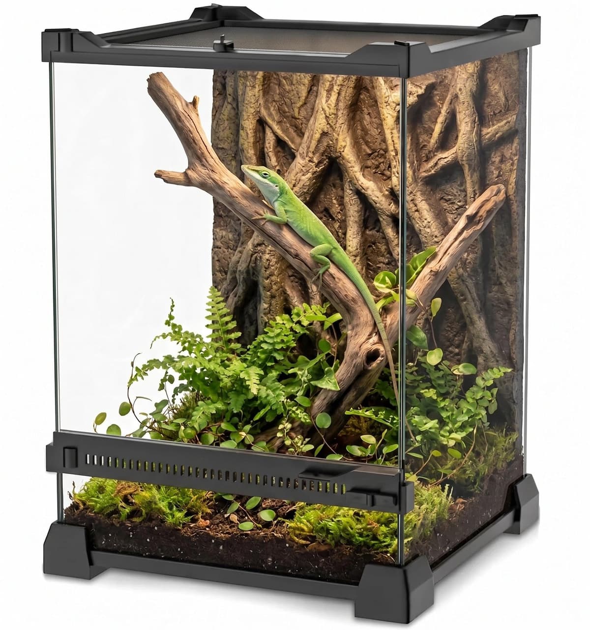 Mini Reptile Glass Terrarium 8"x8"x12" Durable Reptile Habitat Tank with Heat Resistant Aluminum Alloy Frame, Single Swinging Doors for no Jam by Sand and Other Debris