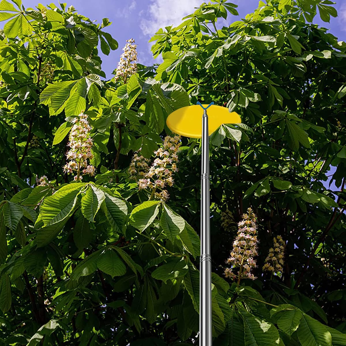 Msnaile Disco telescópico de golf con 3 ganchos, frisbee para disco de agua, accesorios de golf para deportes al aire libre — view 5