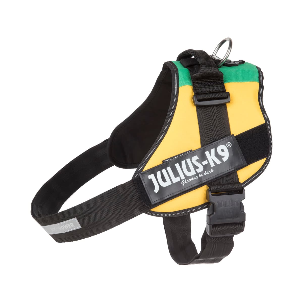Julius-K9, 16IDC-AM-M, IDC Powerharness, dog harness, Size: Mini, Aquamarine — view 345