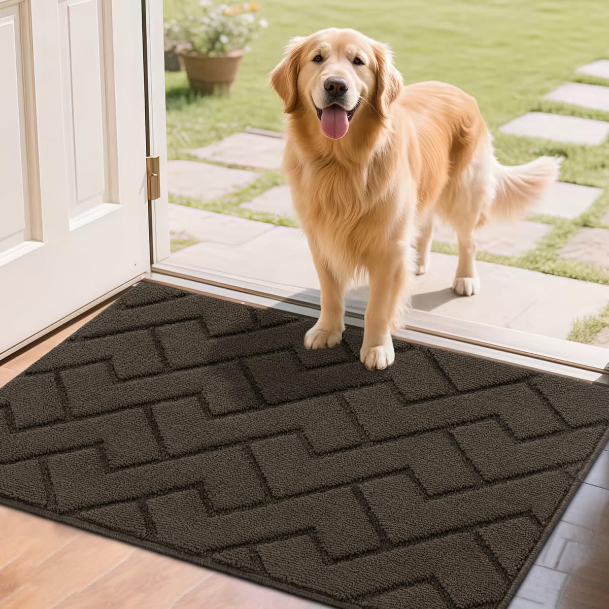 Biscpro Door Mats Indoor,Dirt Trapper Mat Absorbent Non-Slip Low Profile Doormat for Entrance,Inside, Kitchen,Front Door Mat Washable for Pets and Dogs— 50x80cm,Grey — view 21