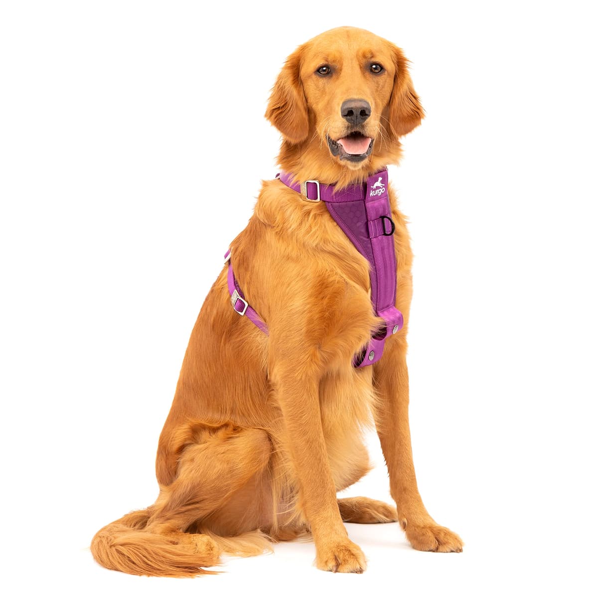 Kurgo Tru-Fit Smart Dog Walking Harness - Comfortable Fit - Adjustable Harness - Reflective Pet Wear - Quick Strap Release - Daily Walk Accessory - Includes Seat Belt Loop - Black - Medium — view 9