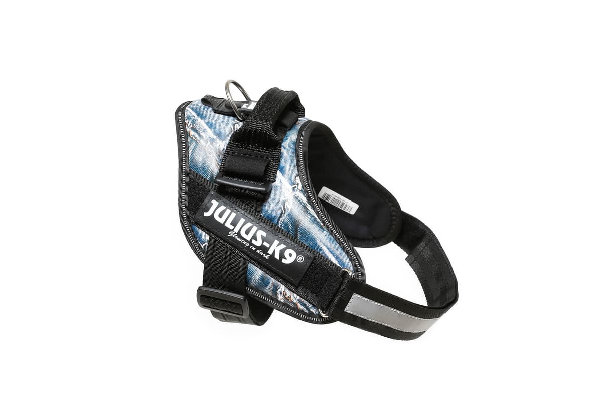 Julius-K9, 16IDC-AM-M, IDC Powerharness, dog harness, Size: Mini, Aquamarine — view 221