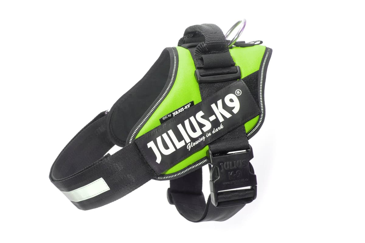 Julius-K9, 16IDC-AM-M, IDC Powerharness, dog harness, Size: Mini, Aquamarine — view 242