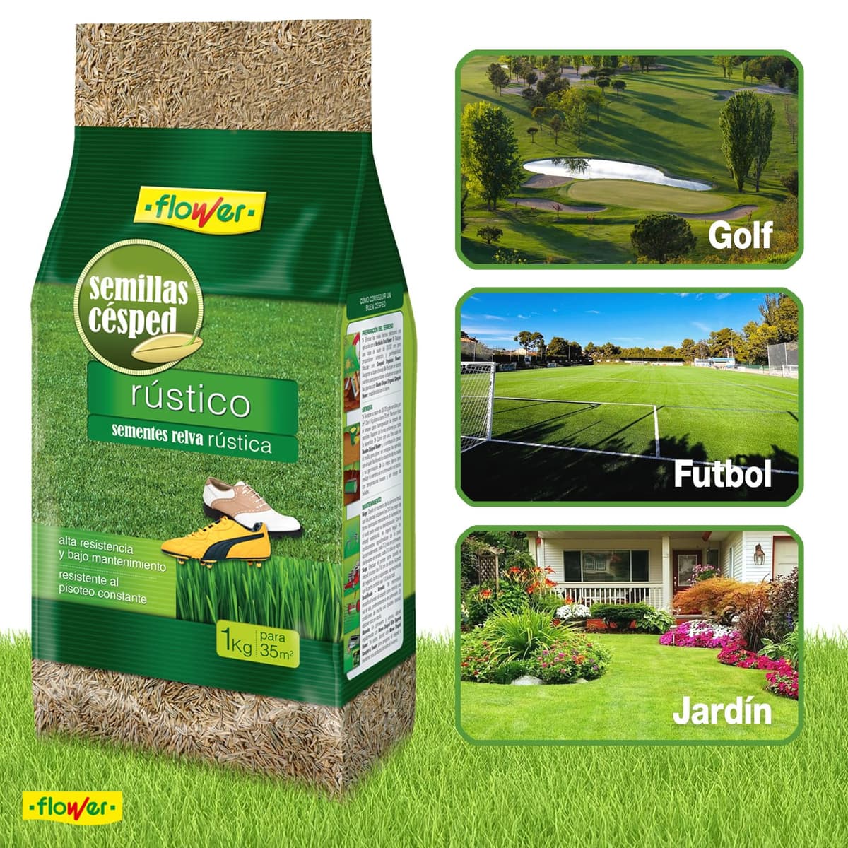 Flower - Semillas de Césped Rústico Resistente 1 kg | Crecimiento Rápido | Ideal para zonas de paso | Bajo Mantenimiento | Cubre 35 m² | Resistente a Sequía — view 4
