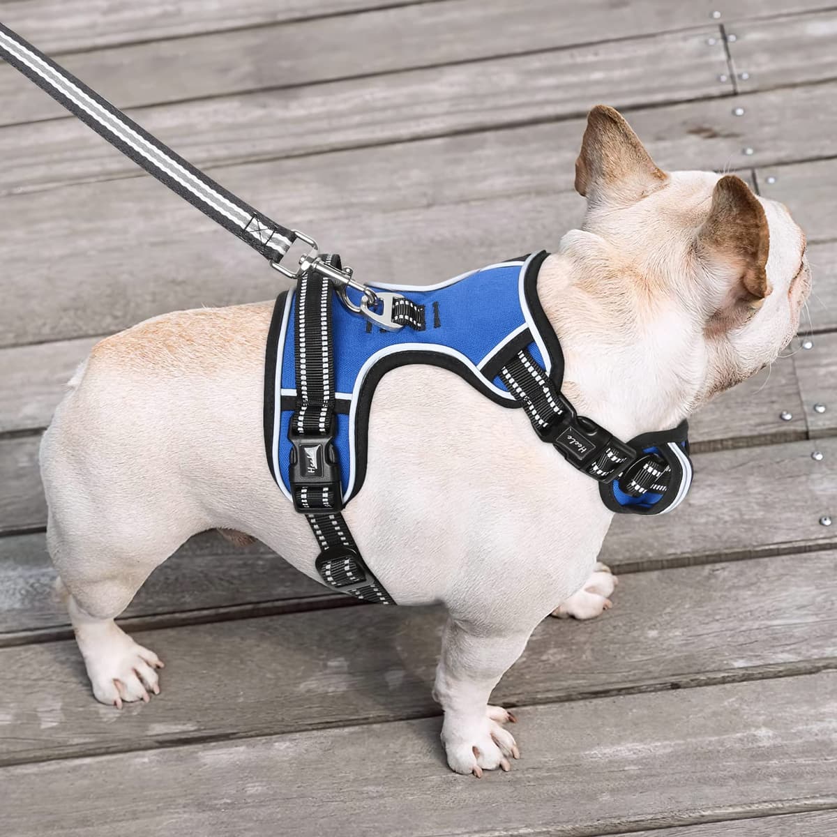 HEELE Arnes para Perro Pequeño Antitirones Transpirable con Asa Acolchado y Líneas Reflectantes, Confort, Arnés Pecho Ajustable, Arnés para Perros 3 Hebillas de Liberación Rápida, Azul, S — view 5