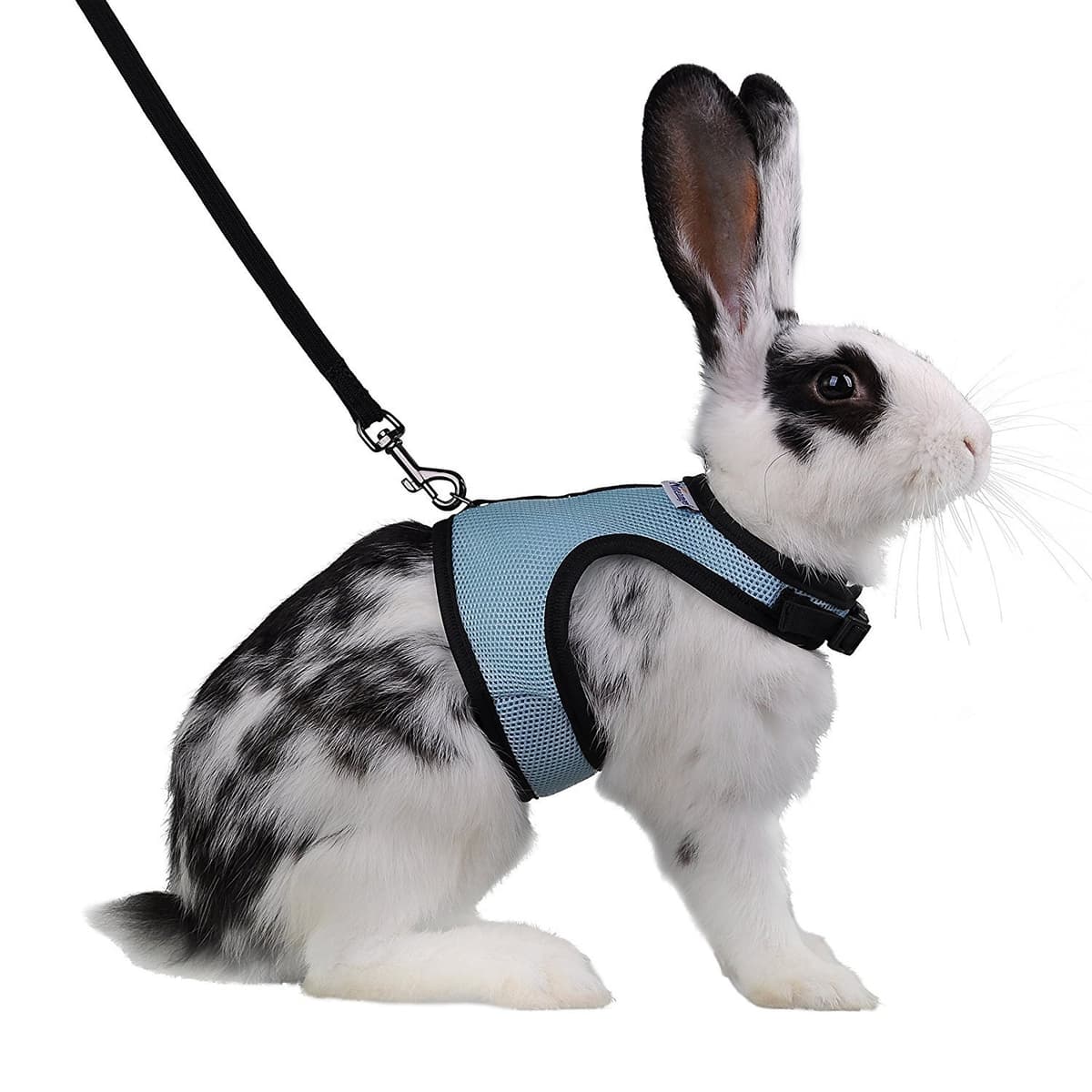 Niteangel Adjustable Soft Harness with Elastic Leash for Rabbits (XL, Purple) — view 9