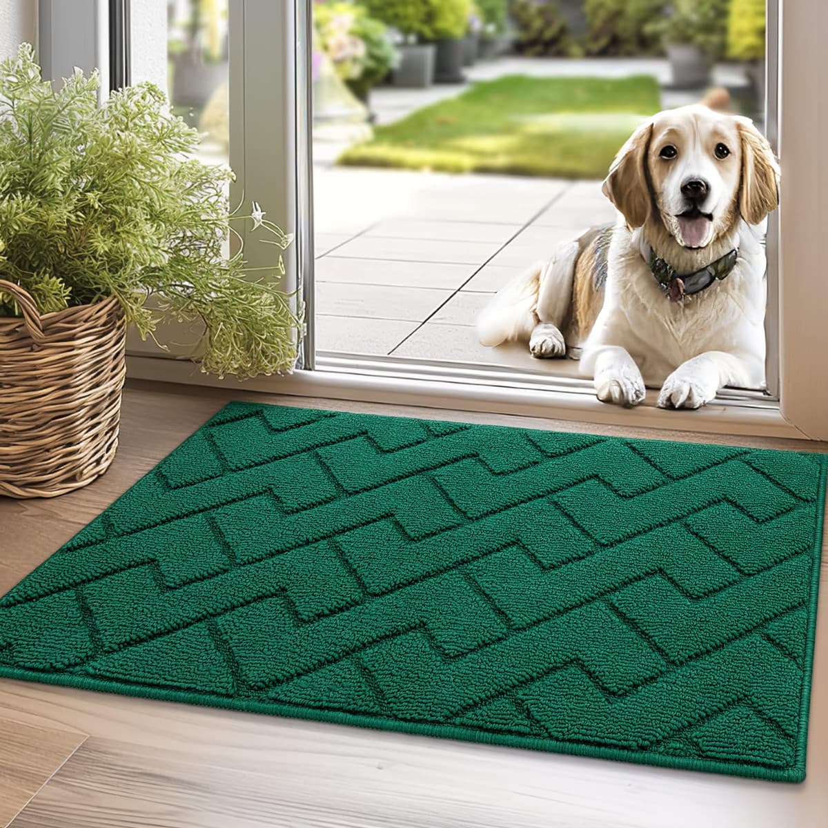Biscpro Door Mats Indoor,Dirt Trapper Mat Absorbent Non-Slip Low Profile Doormat for Entrance,Inside, Kitchen,Front Door Mat Washable for Pets and Dogs— 50x80cm,Grey — view 14