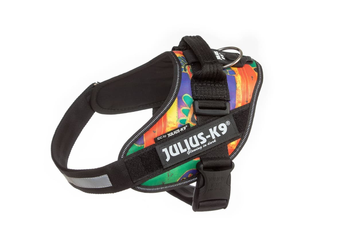 Julius-K9, 16IDC-AM-M, IDC Powerharness, dog harness, Size: Mini, Aquamarine — view 409