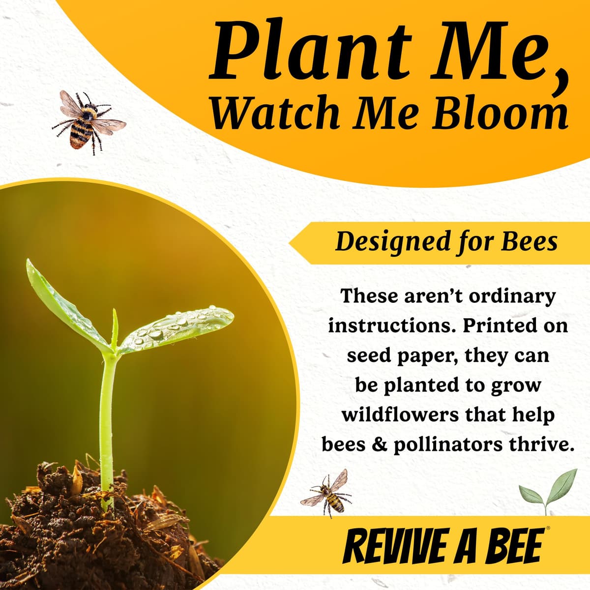 Revive a Bee Gift Box 1 x Bee Revival Kit Keyrings 1x Refill Bottle & Plantable Seed Paper — view 5