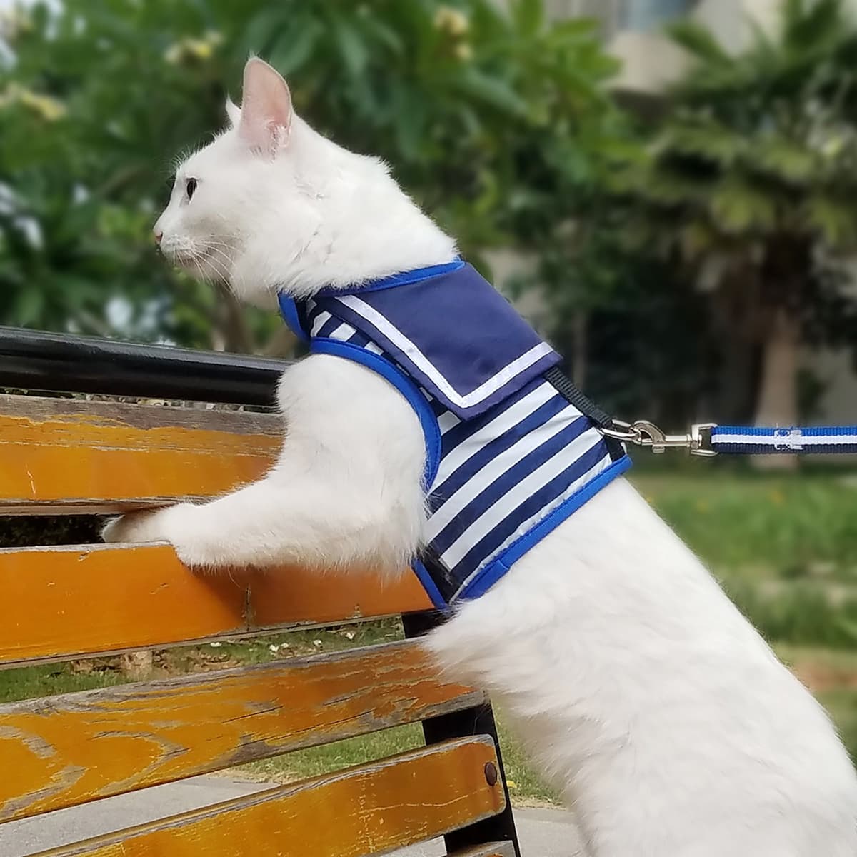 Escape Proof Cat Harness with Leash Large, Adjustable Cat Walking Jackets, Padded Cat Vest Sailor Suit Navy — view 3