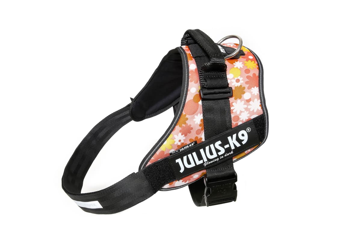 Julius-K9, 16IDC-AM-M, IDC Powerharness, dog harness, Size: Mini, Aquamarine — view 322