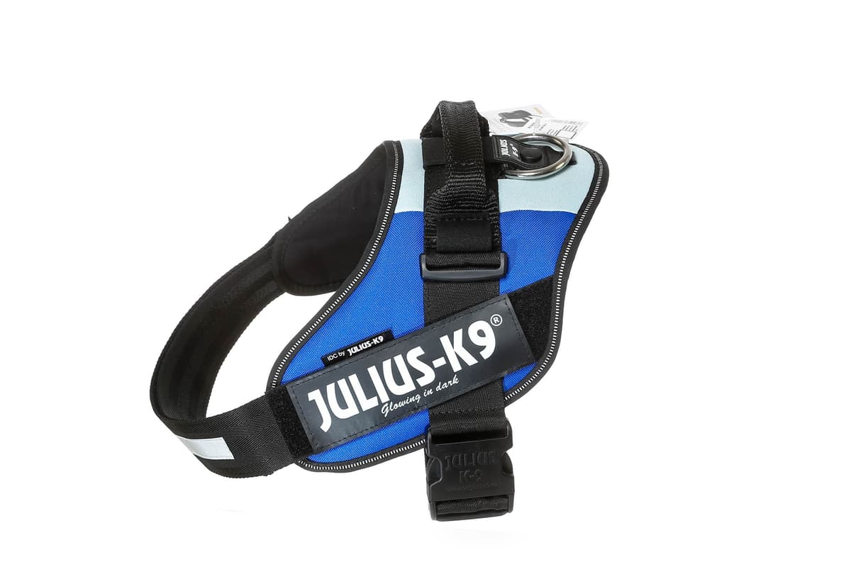 Julius-K9, 16IDC-AM-M, IDC Powerharness, dog harness, Size: Mini, Aquamarine — view 429