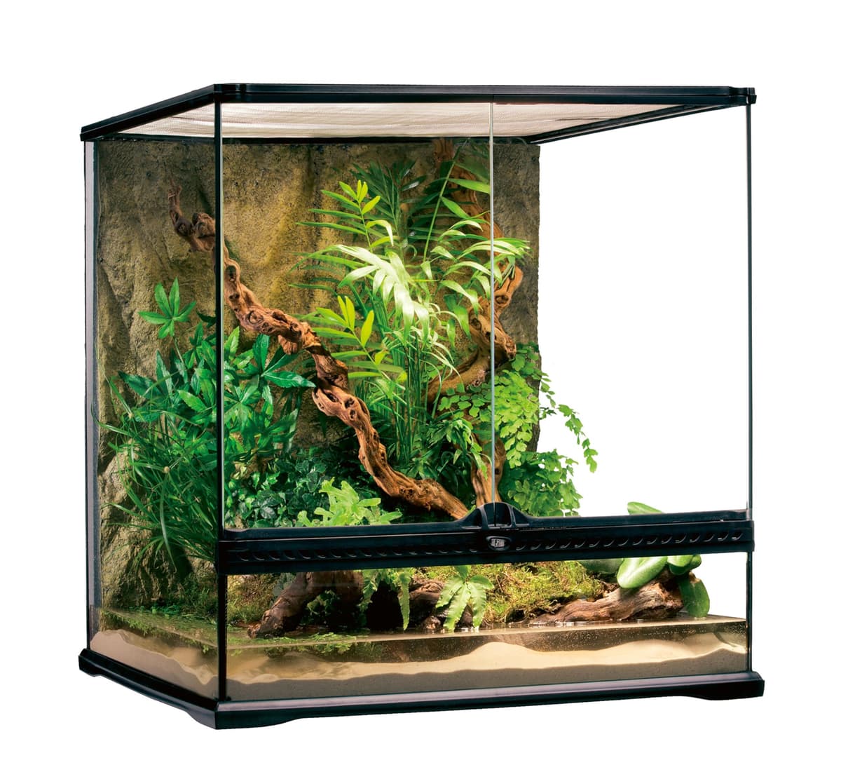 Exo Terra Terrario de cristal, con ventilación frontal única, 60 x 45 x 30 cm — view 6