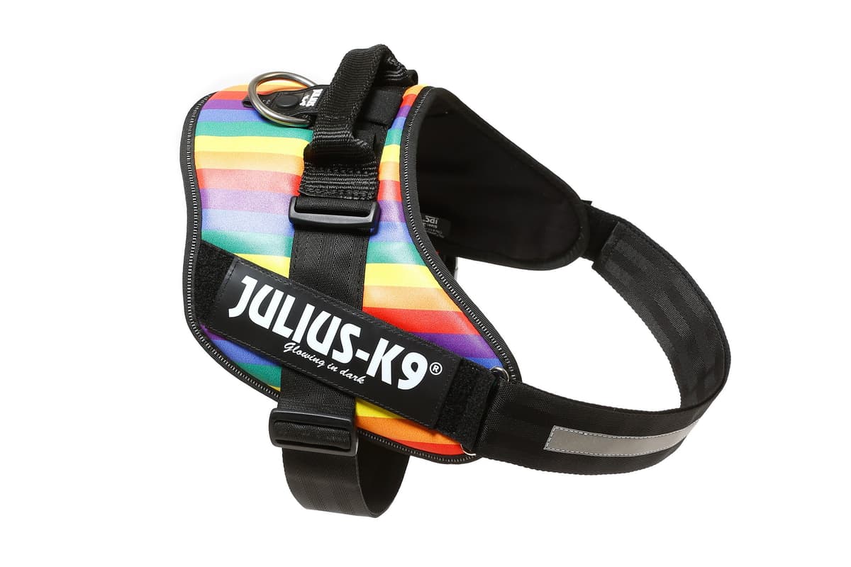 Julius-K9, 16IDC-AM-M, IDC Powerharness, dog harness, Size: Mini, Aquamarine — view 237