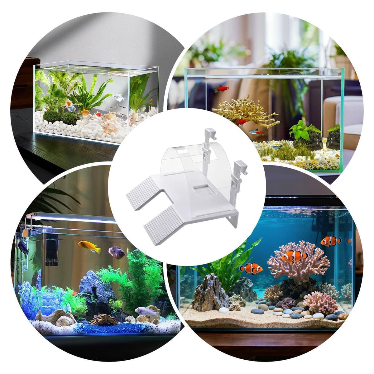 Nkmifeg Rampa De Asolamiento Tortugas - Doble Escalera Escalada Salamandras | Terraza Reposo Tortugas - para Criadores y Dueños, Terrario, Tanque de Comida, Salón, Oficina en Casa — view 4