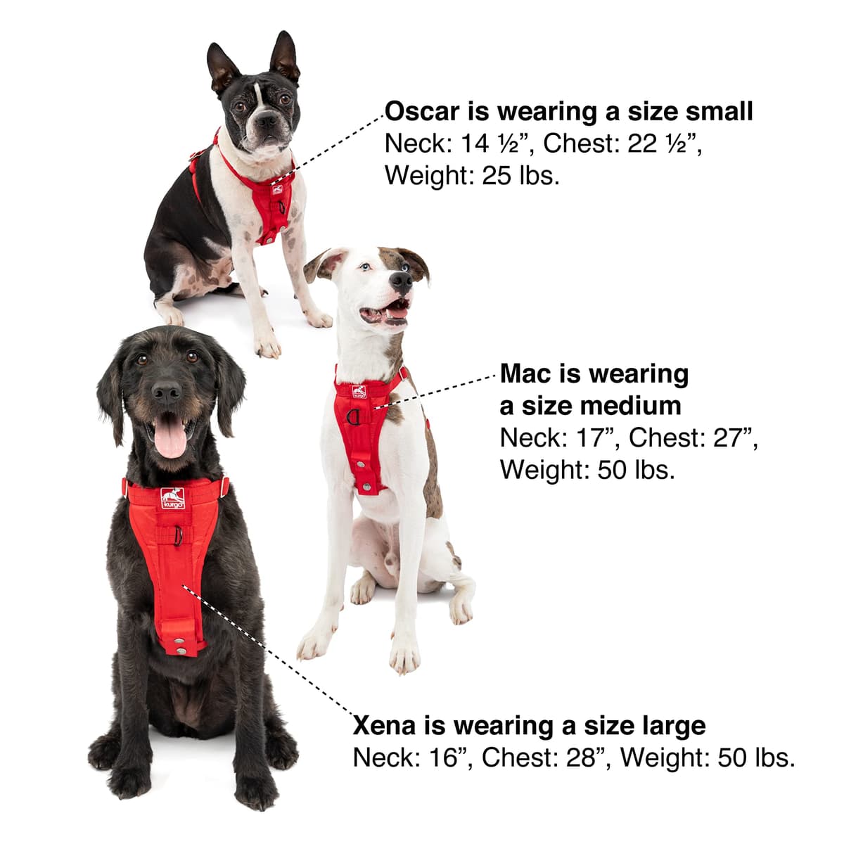 Enhanced Strenght Tru-Fit Smart Harness, Red, Small — view 5