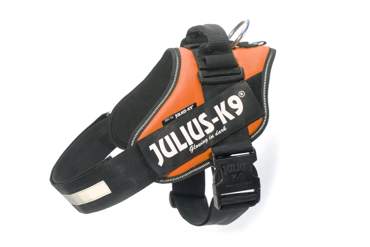 Julius-K9, 16IDC-AM-M, IDC Powerharness, dog harness, Size: Mini, Aquamarine — view 126