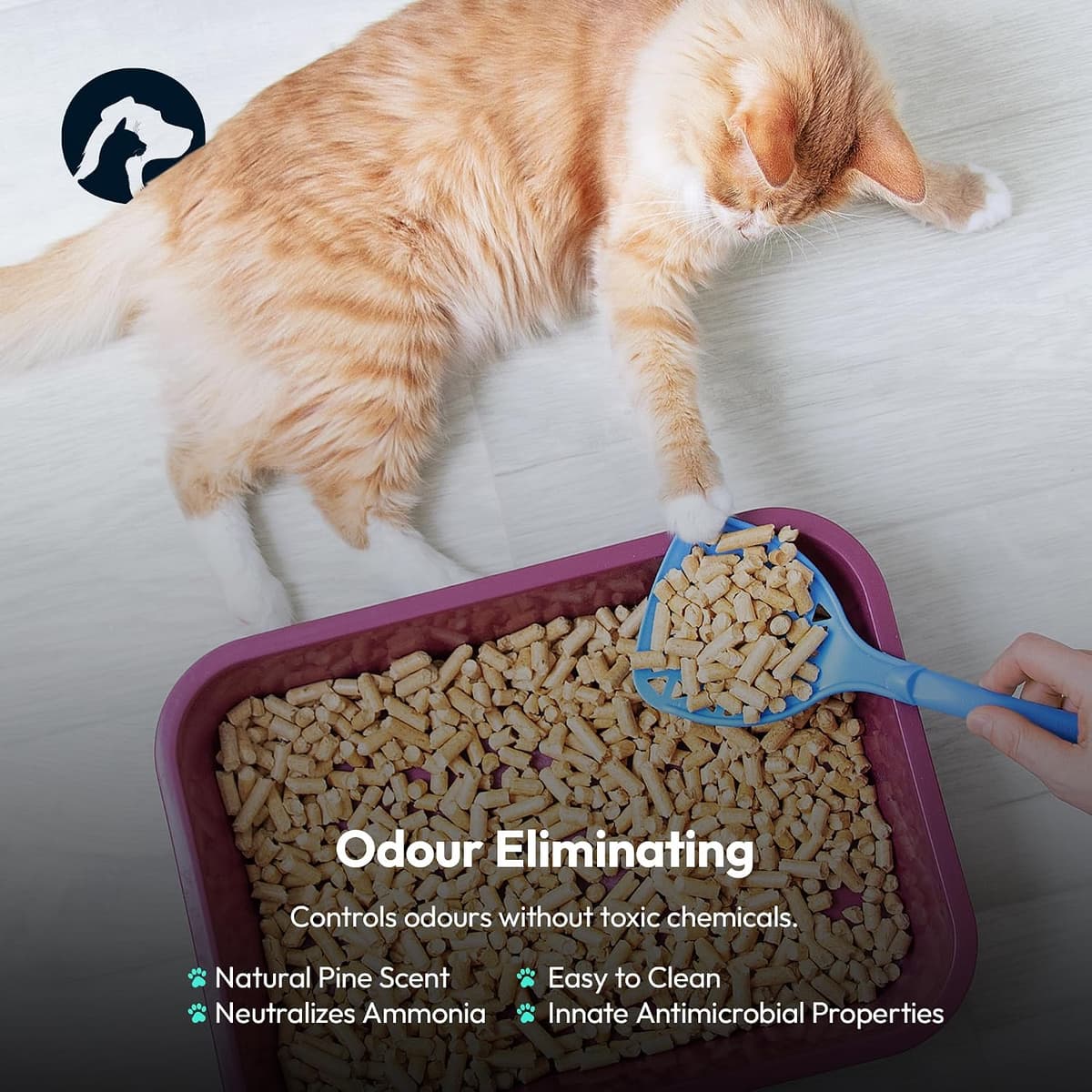 Oscars Cat Litter 30L - Ultra-Absorbent Wood Pellet Cat Litter - Non-Clumping, Dust-Free, Odour Control Wood Pellets for Cats & Kittens - Biodegradable, All Natural Virgin Softwood — view 4