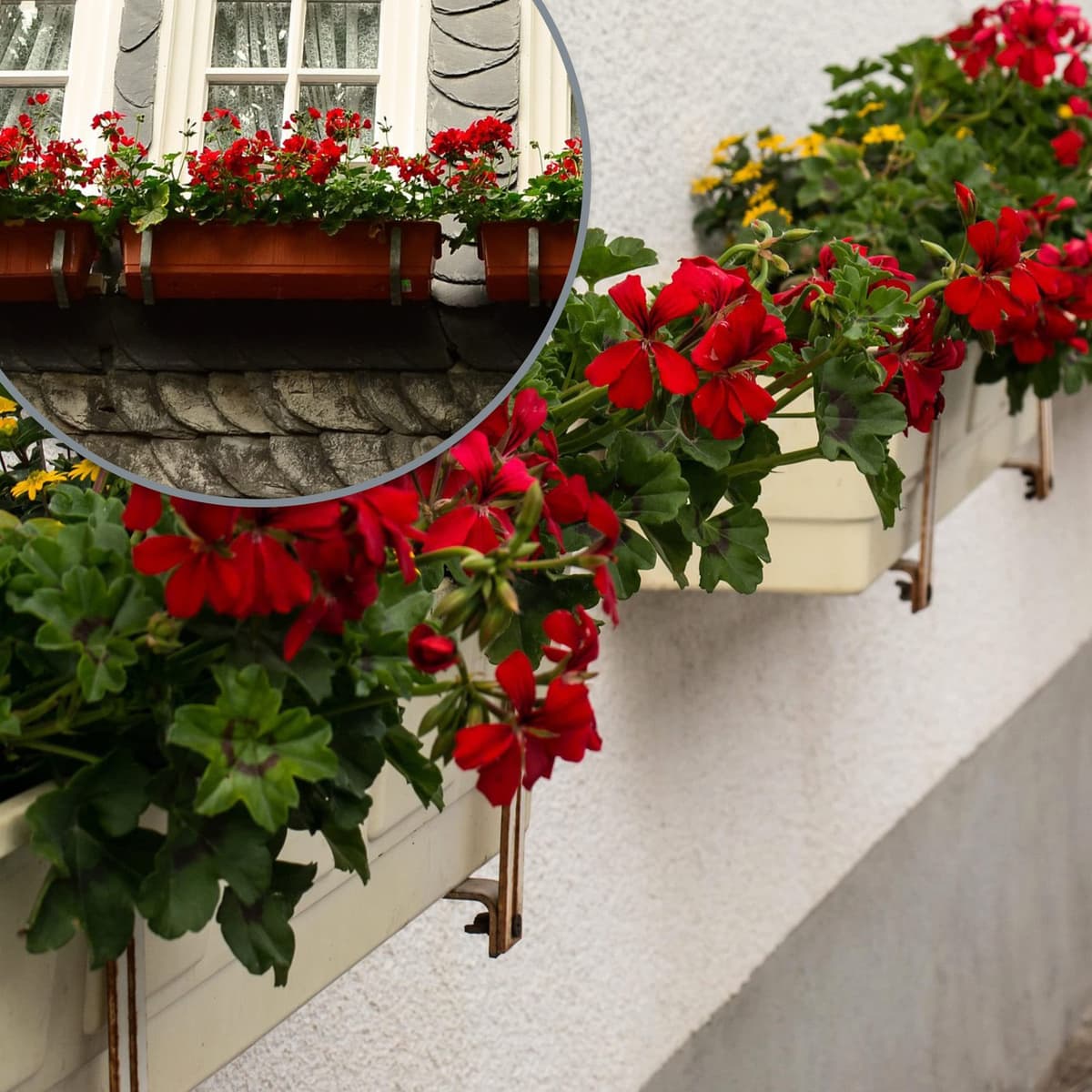 com-four® Soporte para jardineras 4X para parapetos y barandillas de Balcones - fijación Flexible de Metal para jardineras - Ajustable en 2 direcciones - sin taladrar (4 Piezas - marrón Oscuro) — view 3
