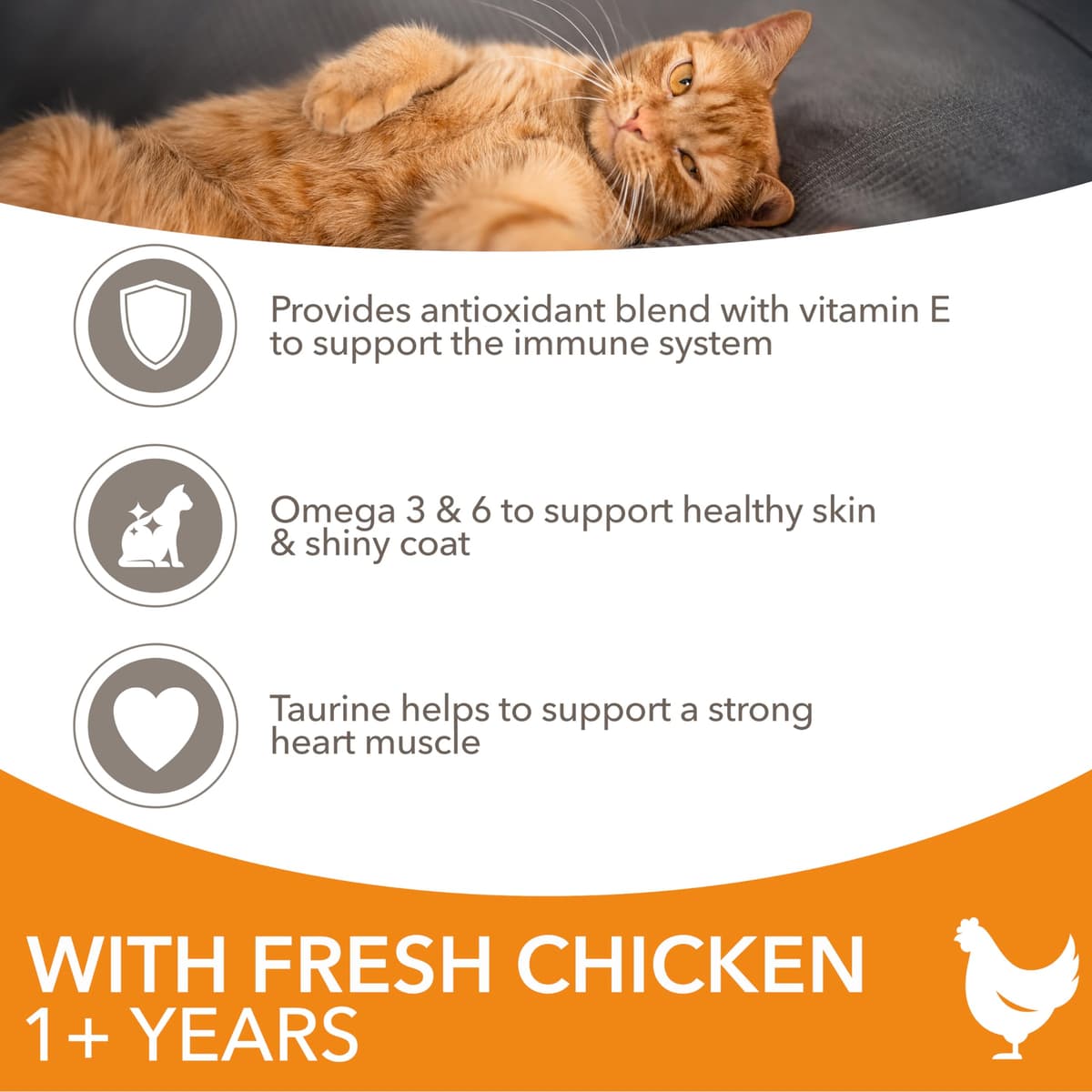 IAMS Adult Complete Dry Cat Food Chicken 3kg - Supports Strong Immune System — view 4