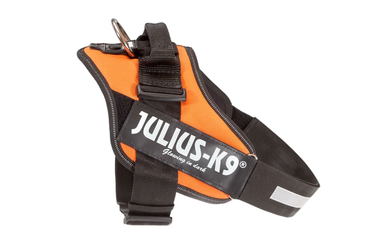 Julius-K9, 16IDC-AM-M, IDC Powerharness, dog harness, Size: Mini, Aquamarine — view 57