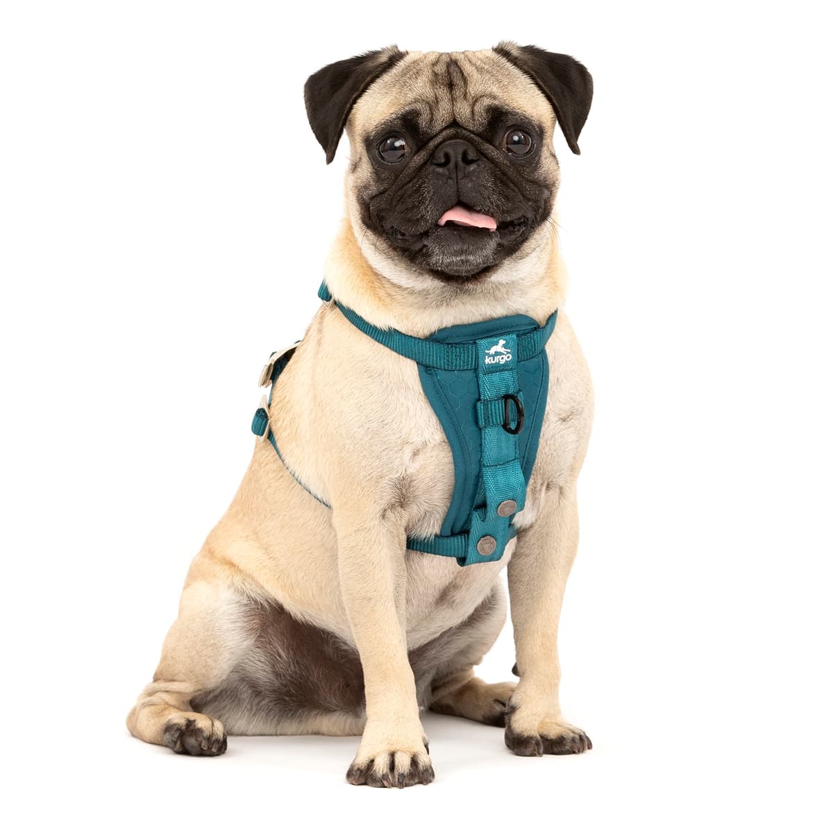 Kurgo Tru-Fit Smart Dog Walking Harness - Comfortable Fit - Adjustable Harness - Reflective Pet Wear - Quick Strap Release - Daily Walk Accessory - Includes Seat Belt Loop - Black - Medium — view 18