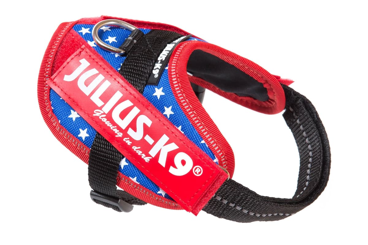 Julius-K9, 16IDC-AM-M, IDC Powerharness, dog harness, Size: Mini, Aquamarine — view 151