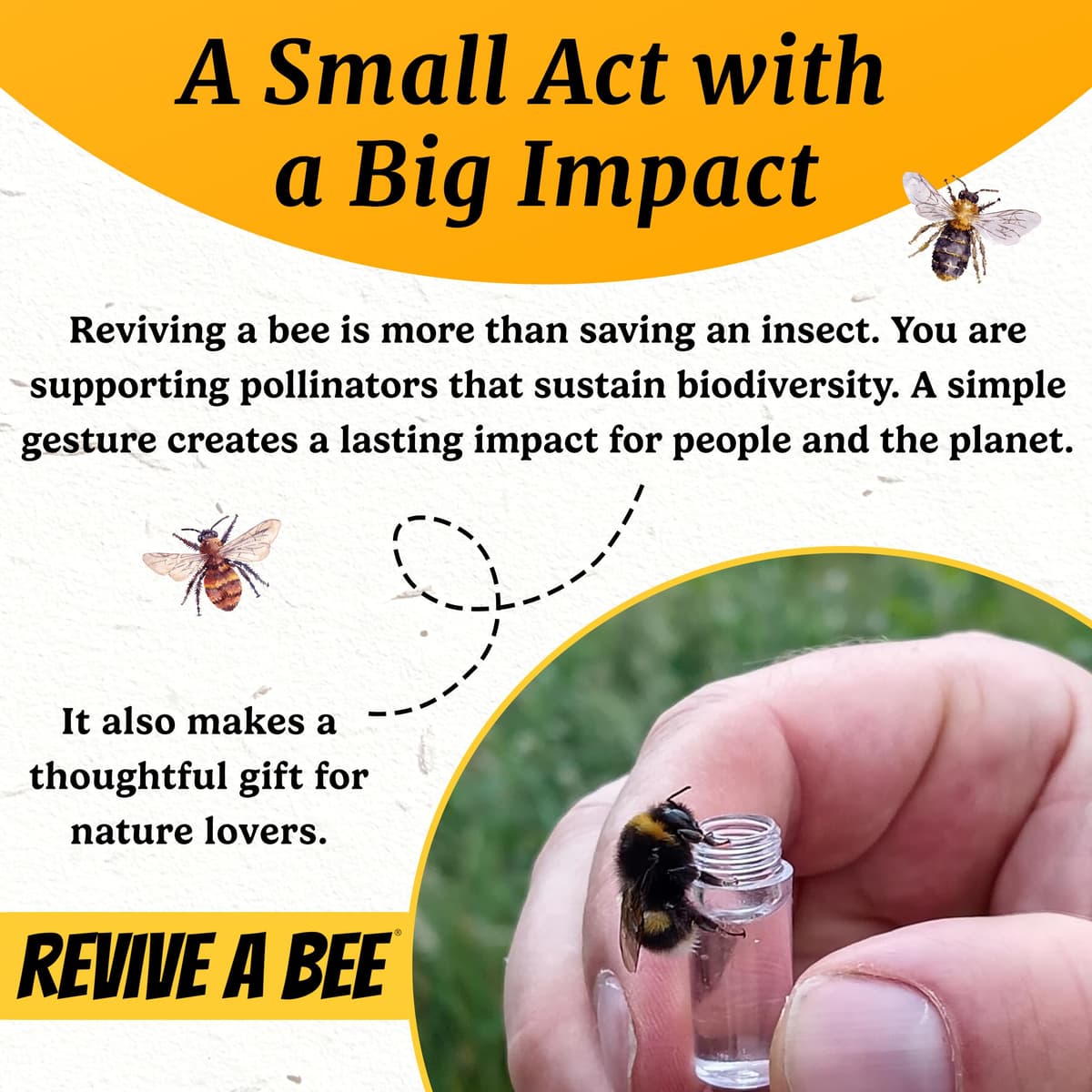 Bee Revival Kit for Saving Tired Bees – Bee Rescue Keyring Gift for Women – Eco-Friendly Plantable Seed Paper Packaging – Rose Gold, Green, Blue, Red, Black, Gold & Silver — view 6
