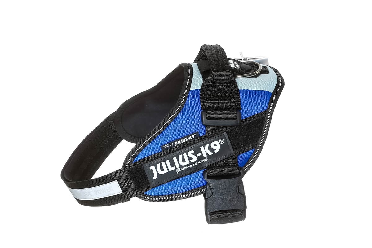 Julius-K9, 16IDC-AM-M, IDC Powerharness, dog harness, Size: Mini, Aquamarine — view 335