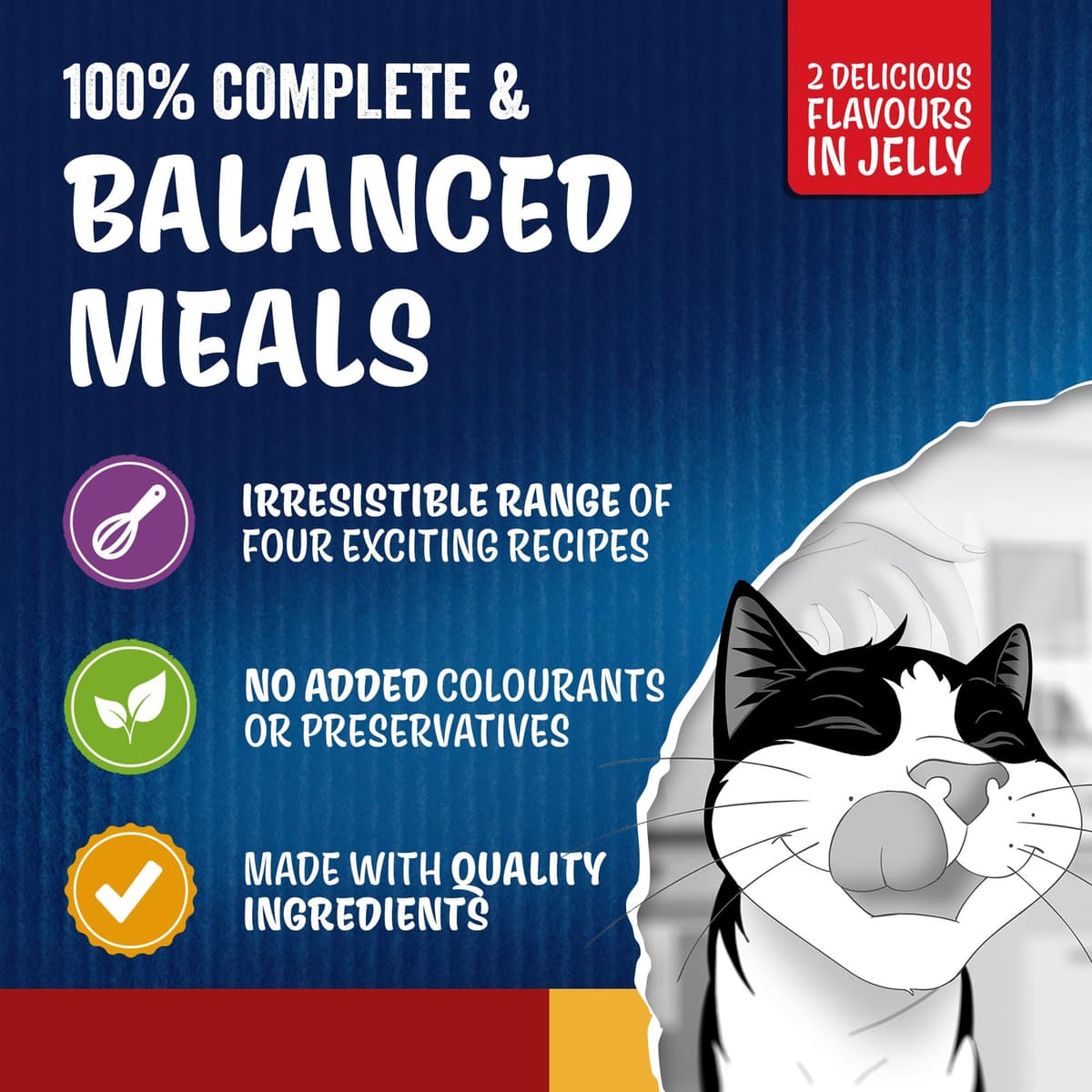 FELIX Doubly Delicious Countryside Selection in Jelly Wet Cat Food 40x85g — view 3