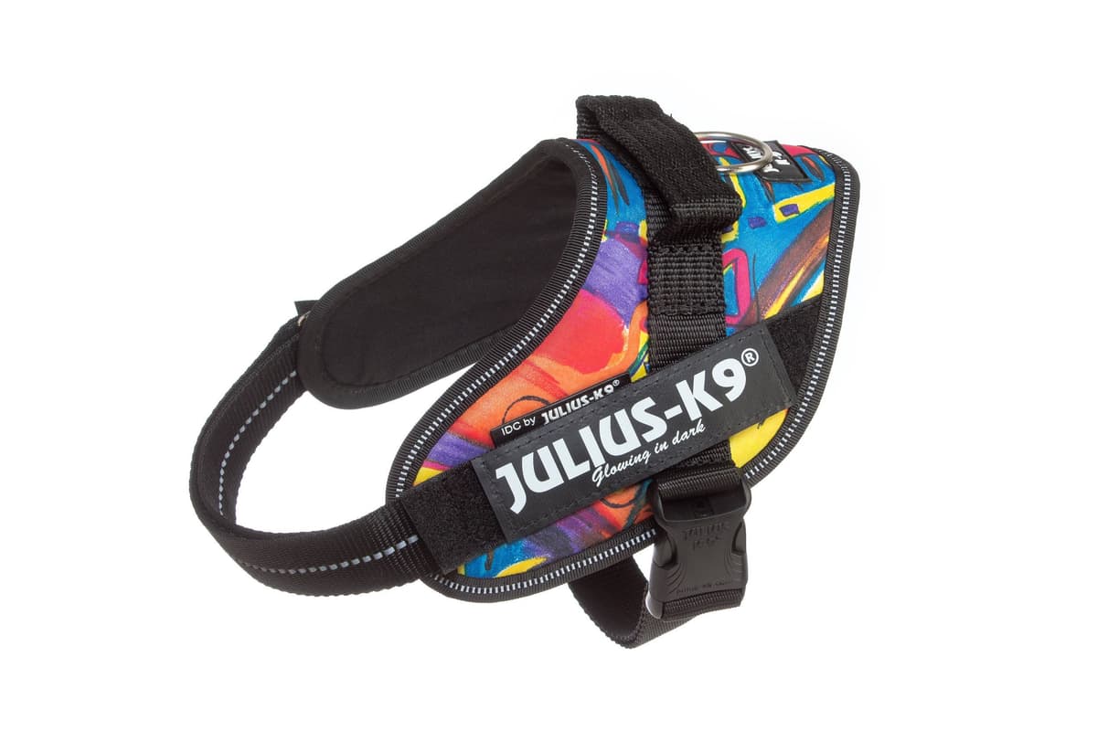 Julius-K9, 16IDC-AM-M, IDC Powerharness, dog harness, Size: Mini, Aquamarine — view 12