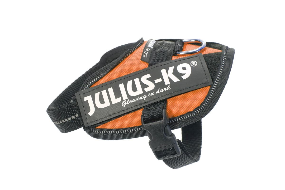 Julius-K9, 16IDC-AM-M, IDC Powerharness, dog harness, Size: Mini, Aquamarine — view 213